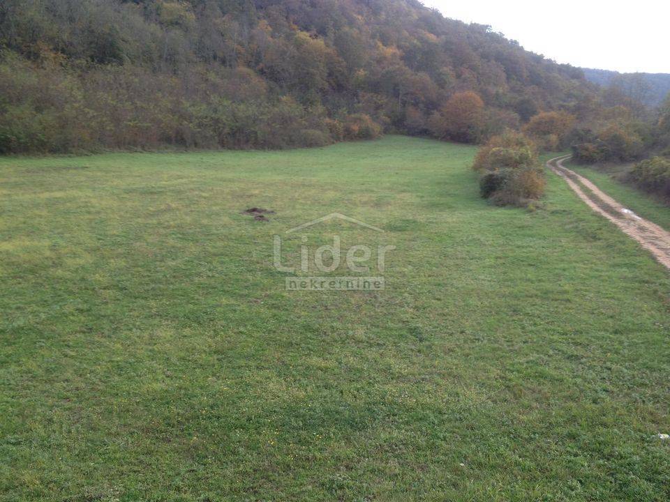 ŽMINJ