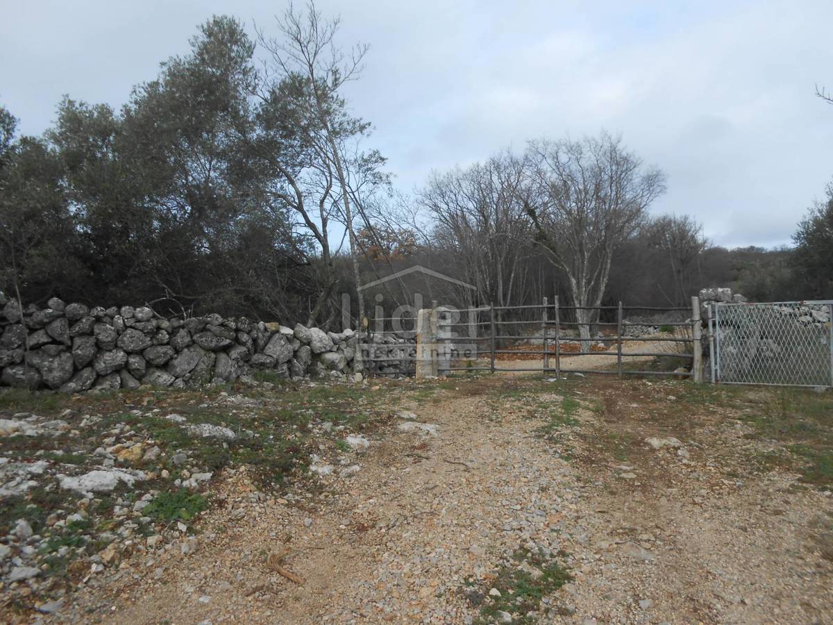 BAJČIĆI
