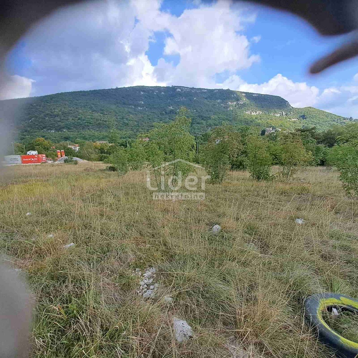 LUPOGLAV