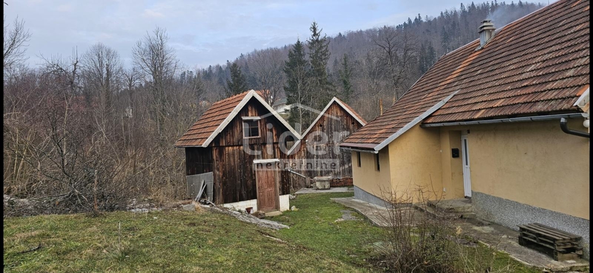 MORAVICE