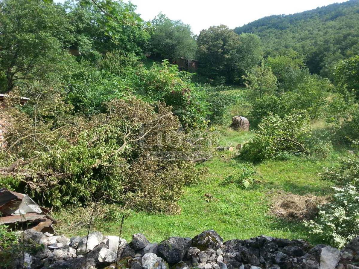 ČAVLE
