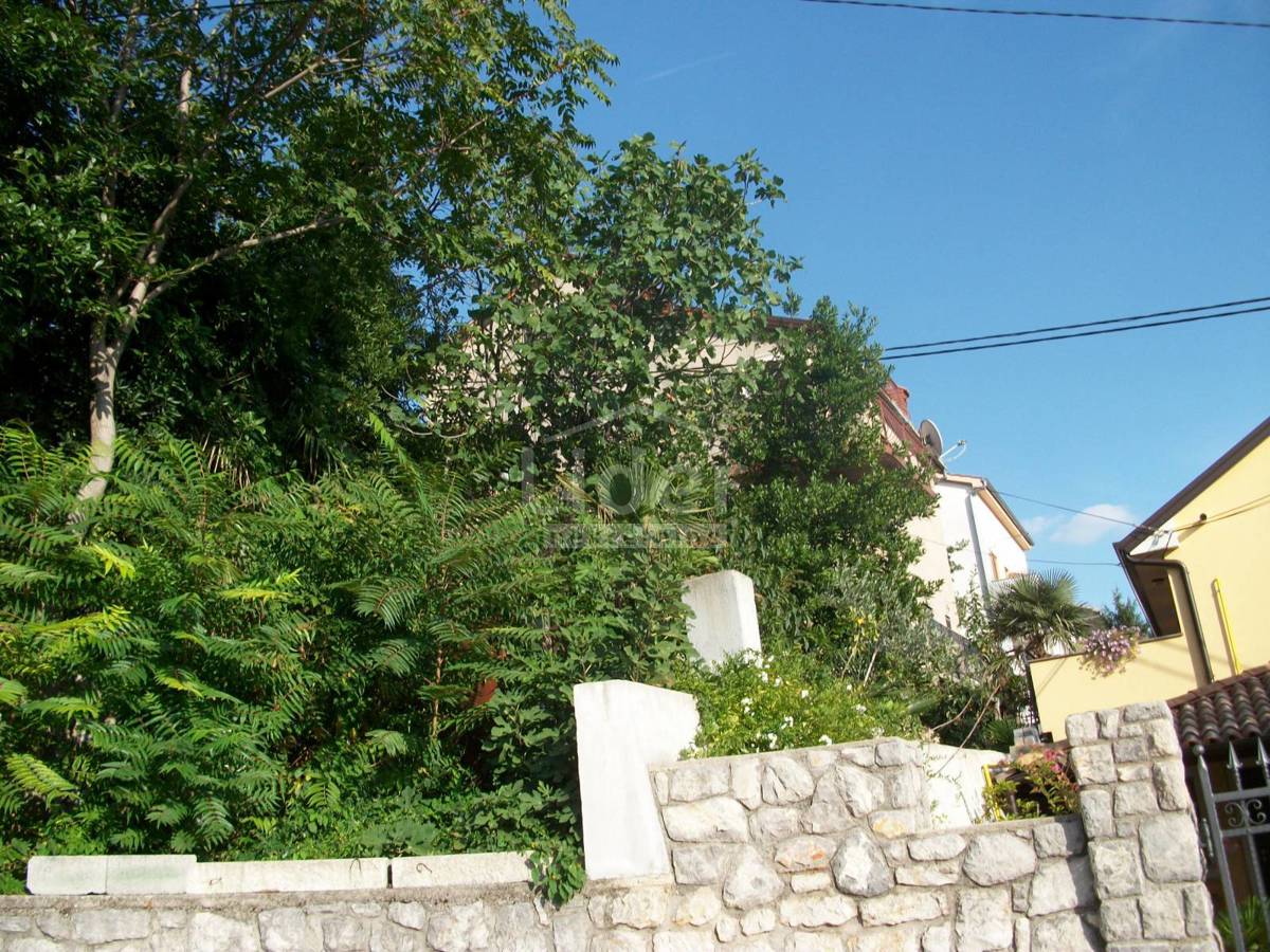 ŠKURINJE