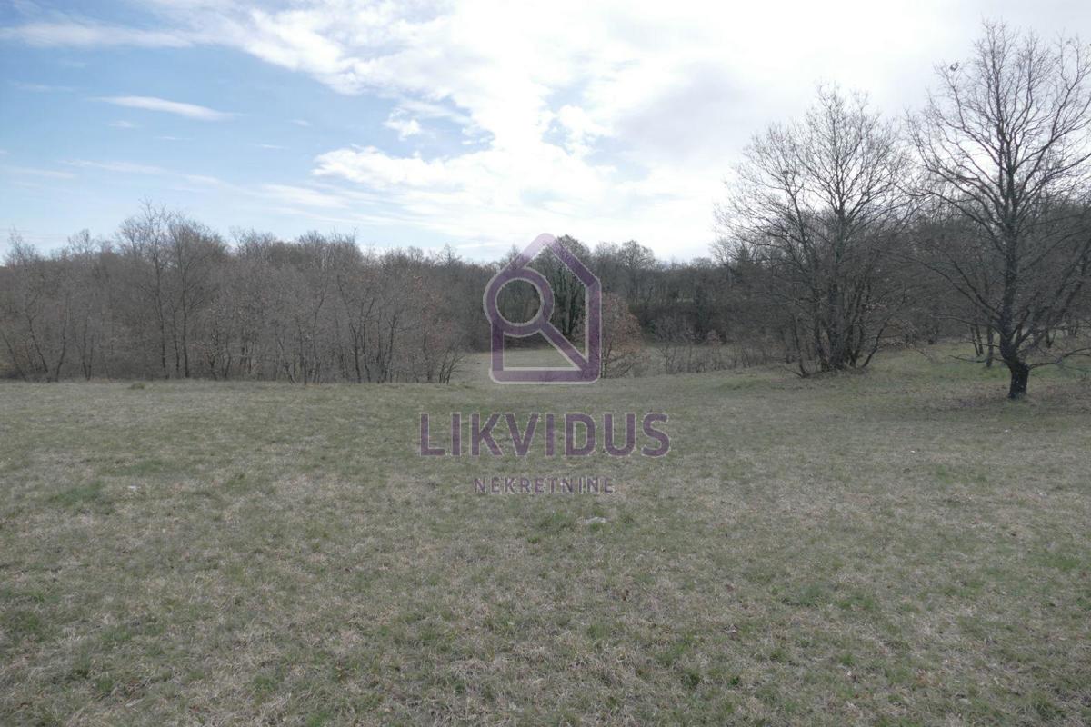 ŠTOKOVCI