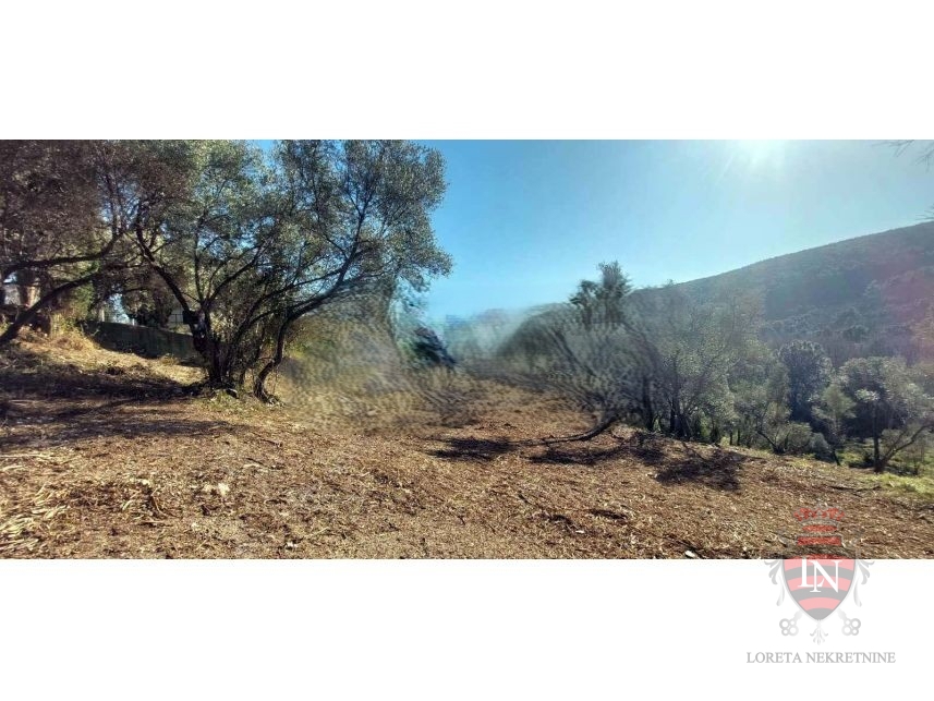 Terreno LABIN, 339.000 €