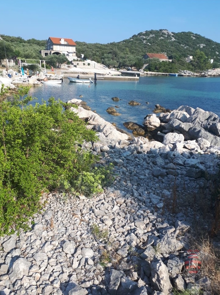KUNA PELJEŠKA