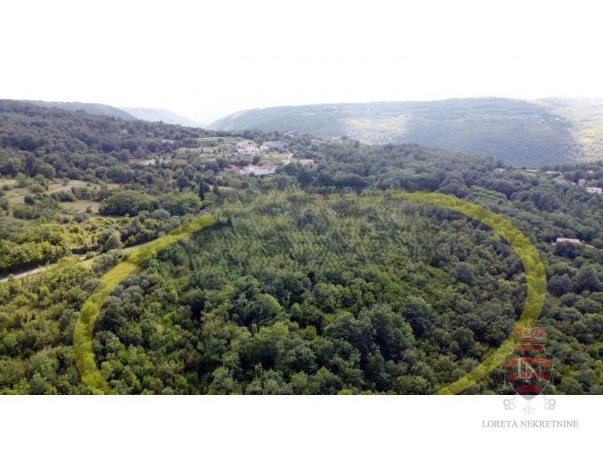 LABIN
