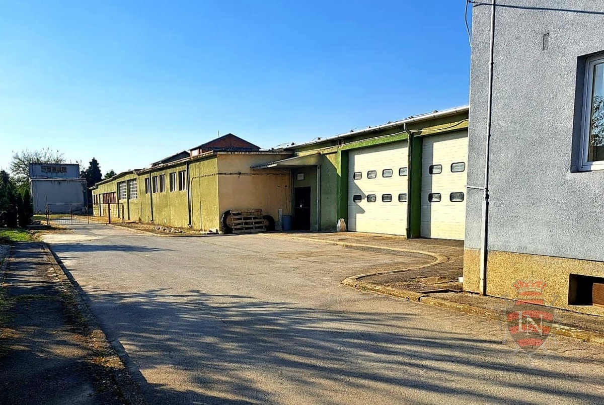 VIRJE