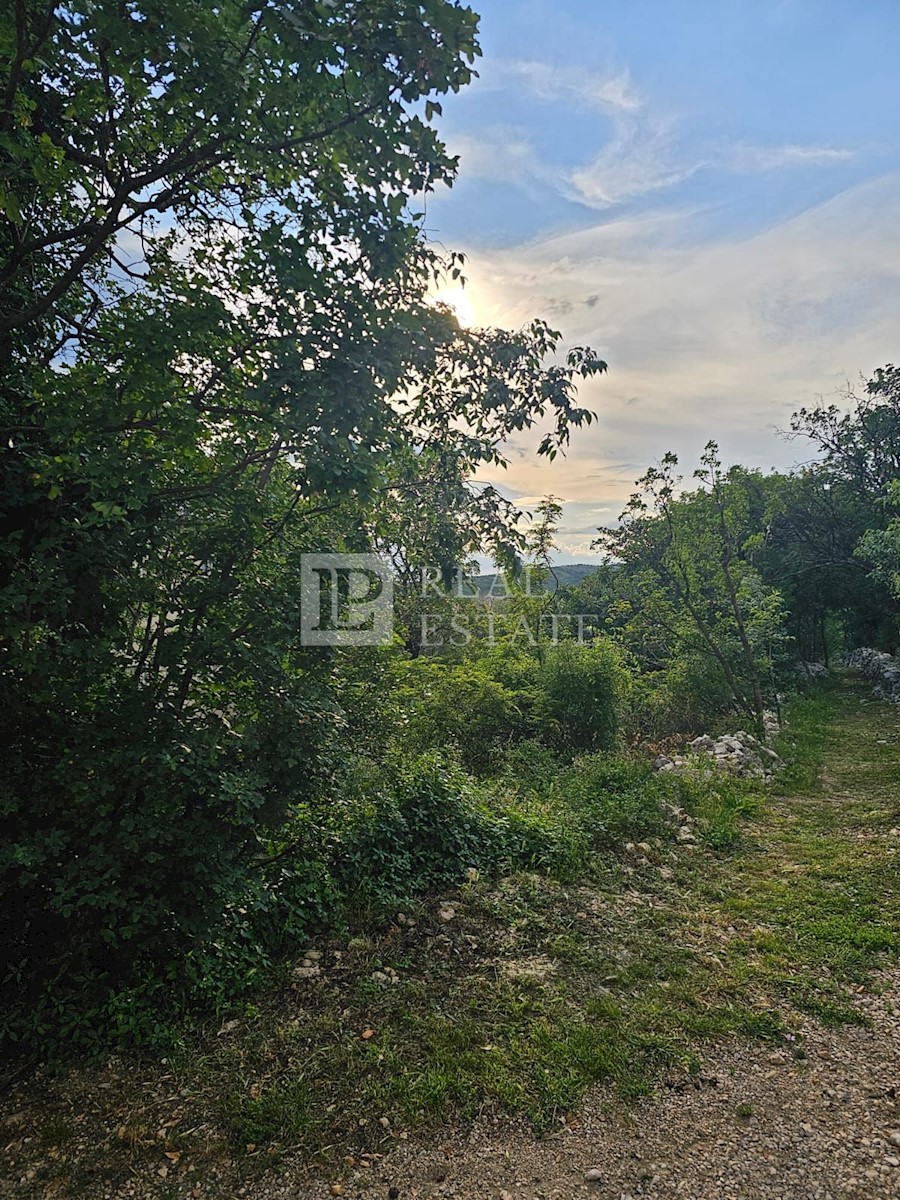 NOVI VINODOLSKI