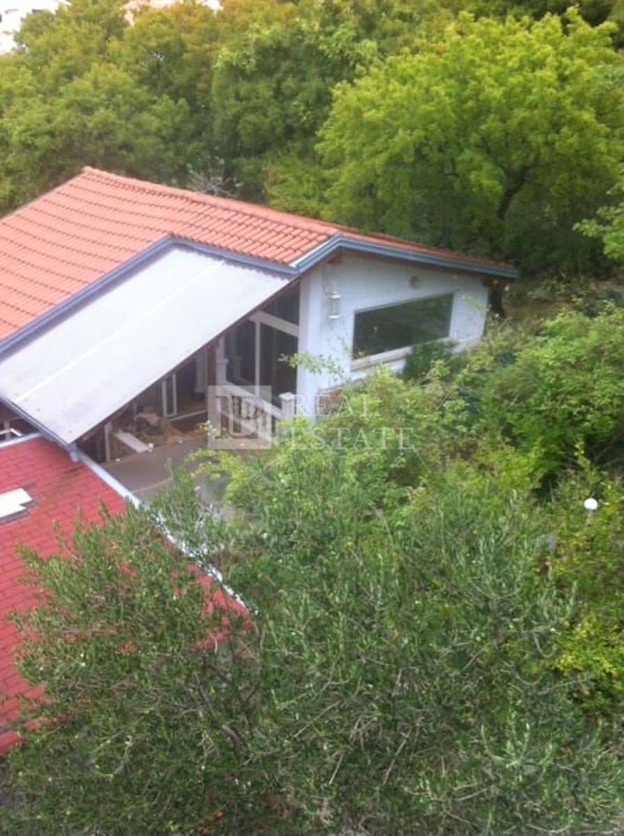 KLENOVICA