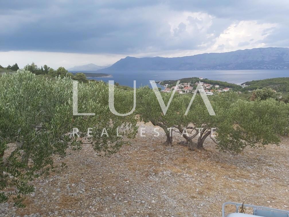 POVLJA