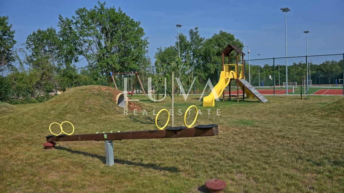 image 23
