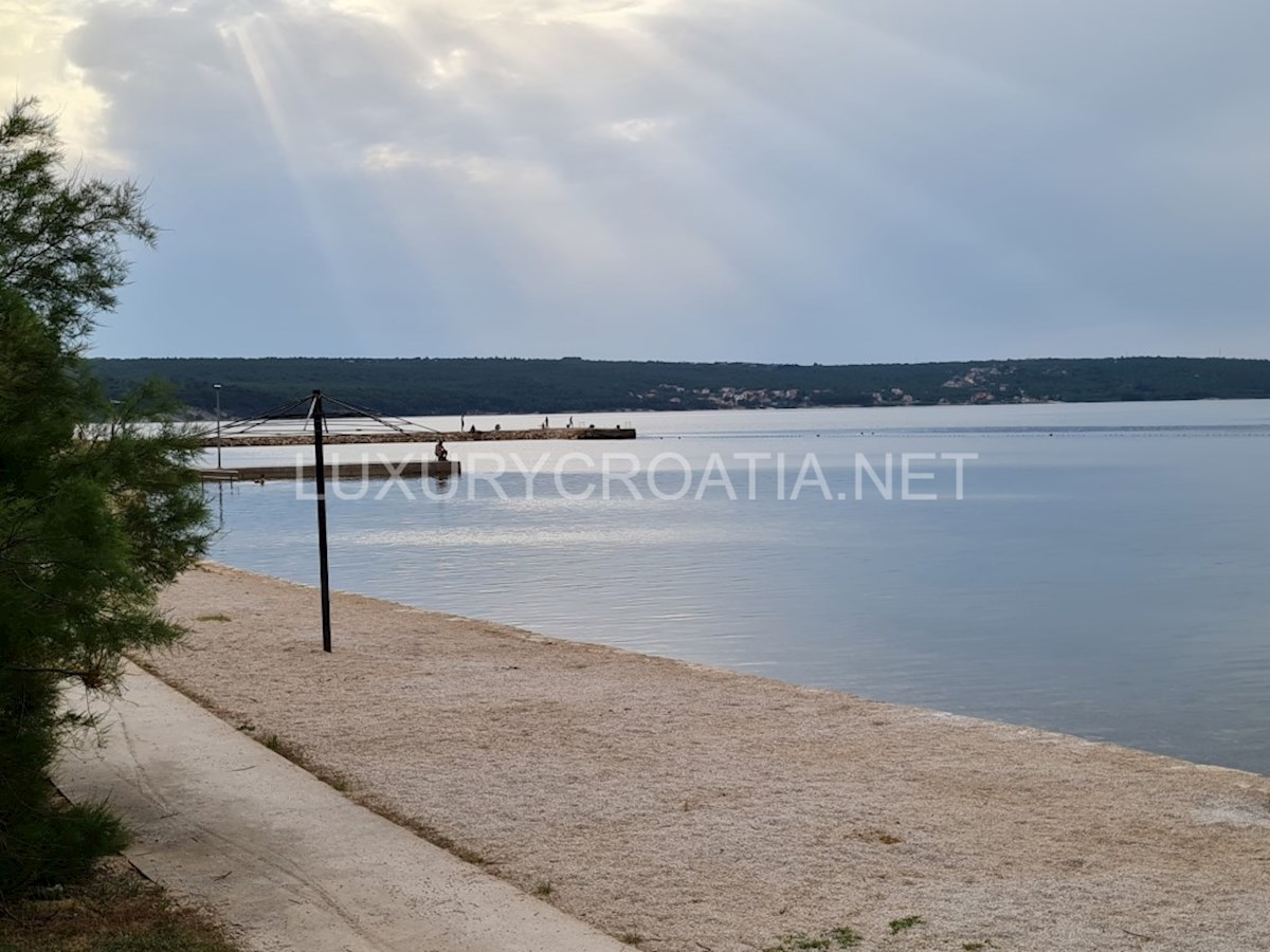 NOVIGRAD