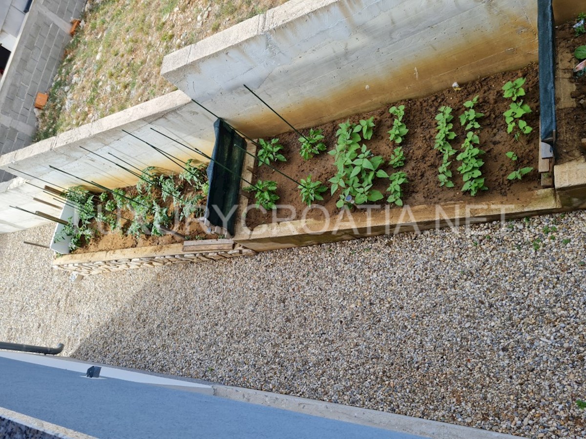 image 24