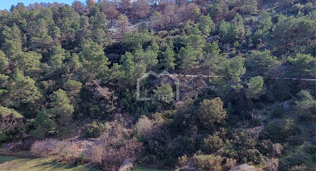 PUČIŠĆA