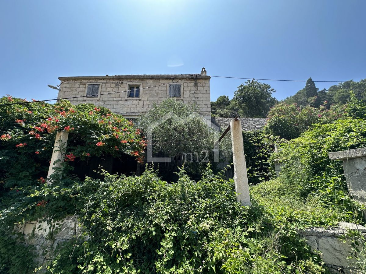 PUČIŠĆA