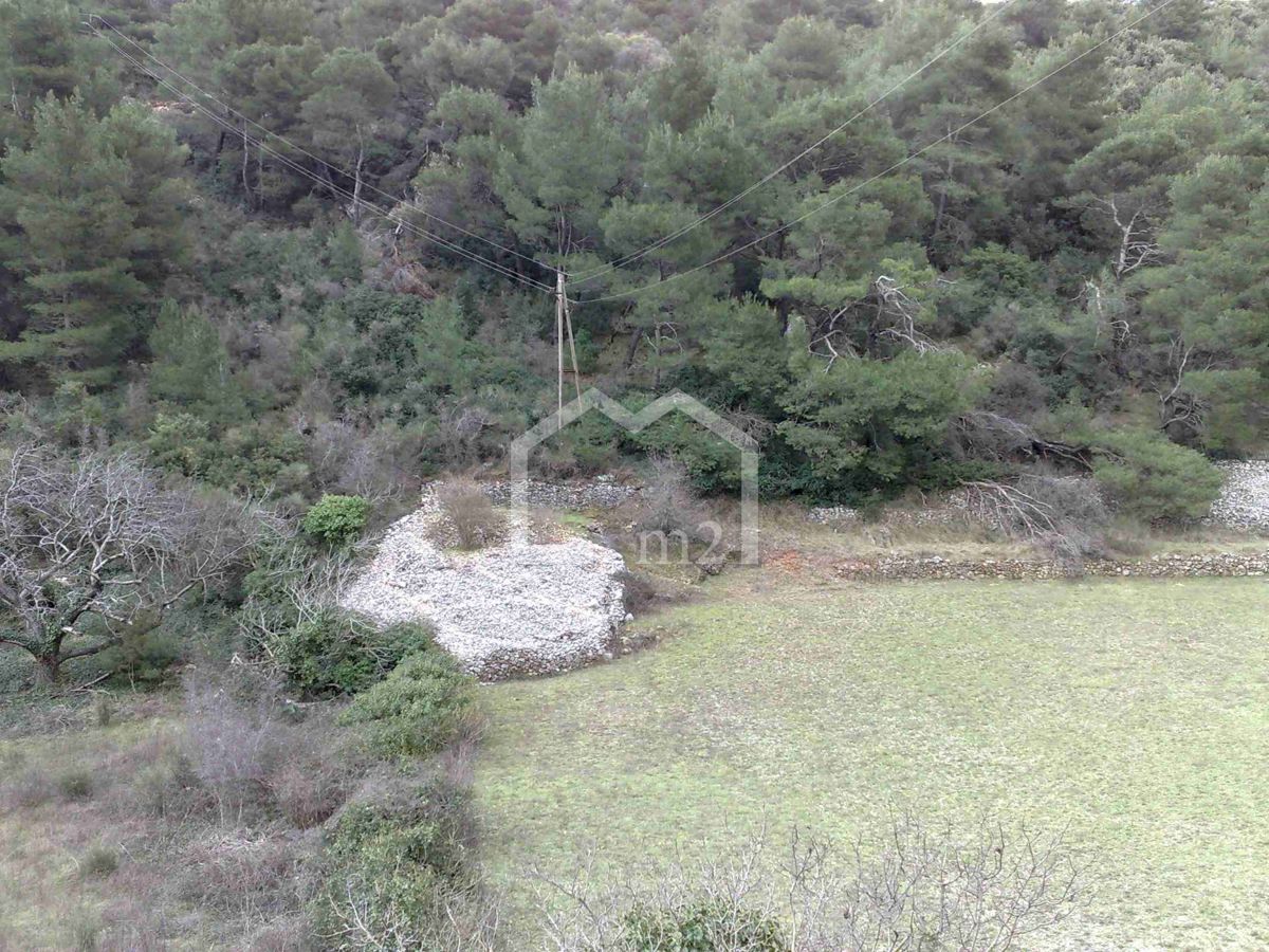 PUČIŠĆA