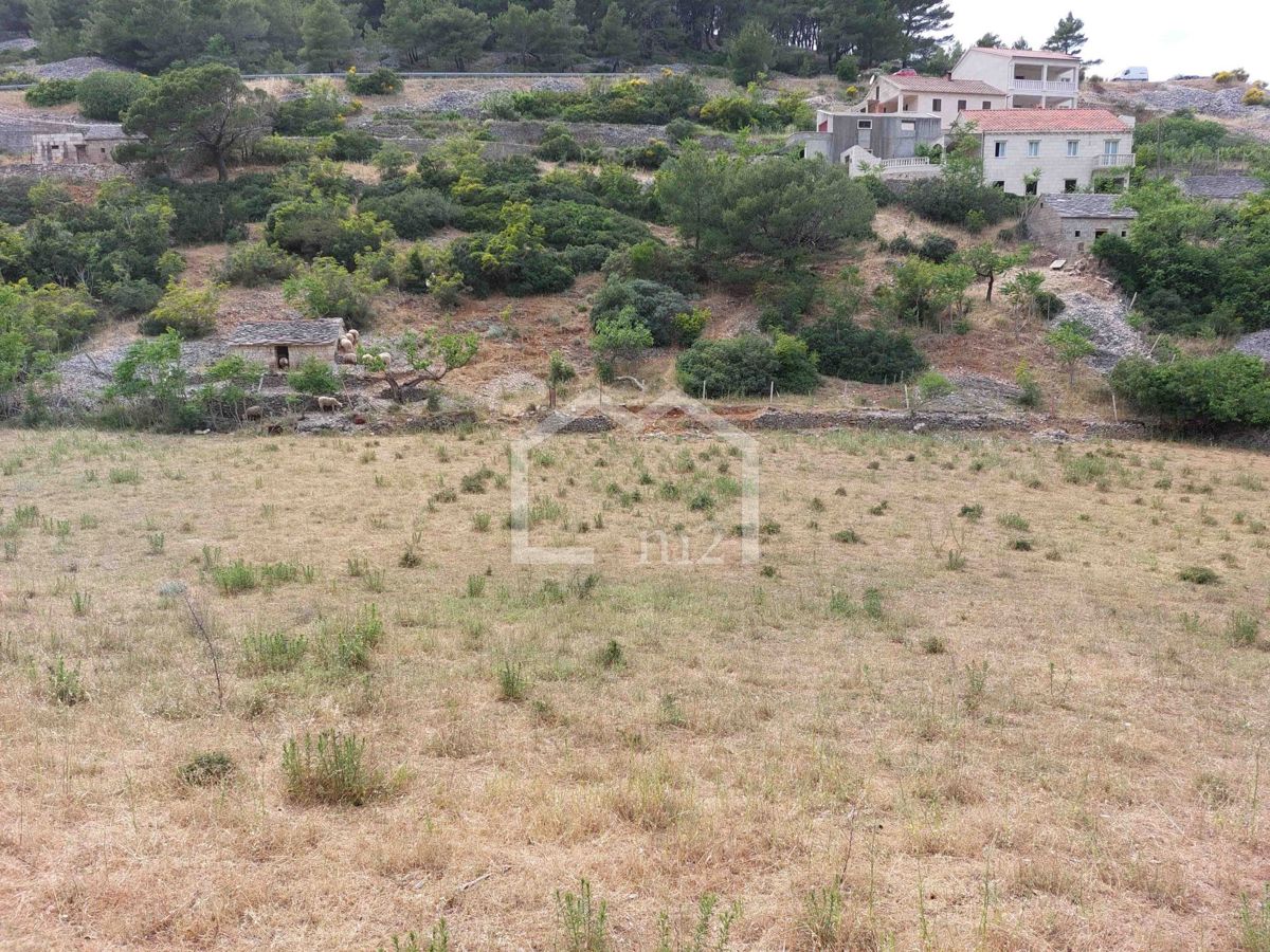PUČIŠĆA