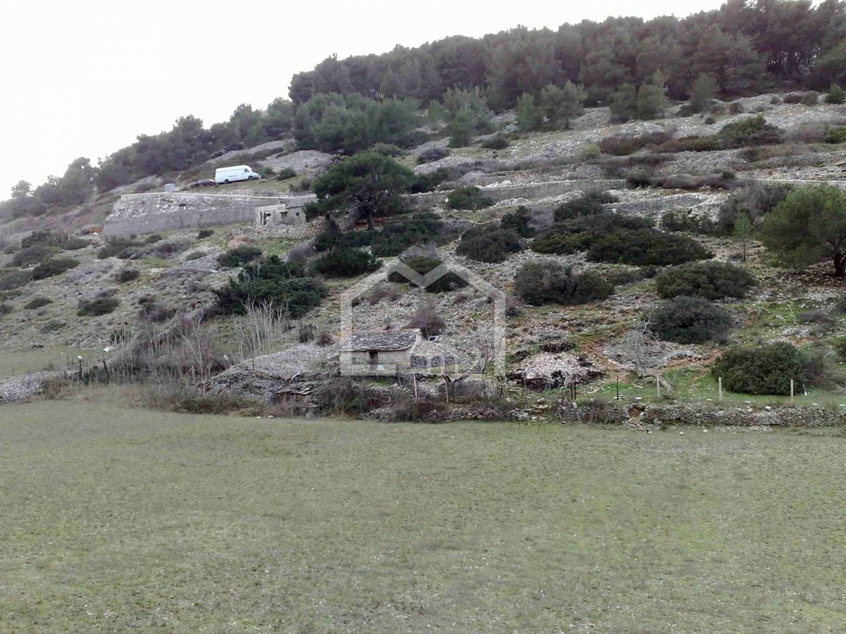 PUČIŠĆA