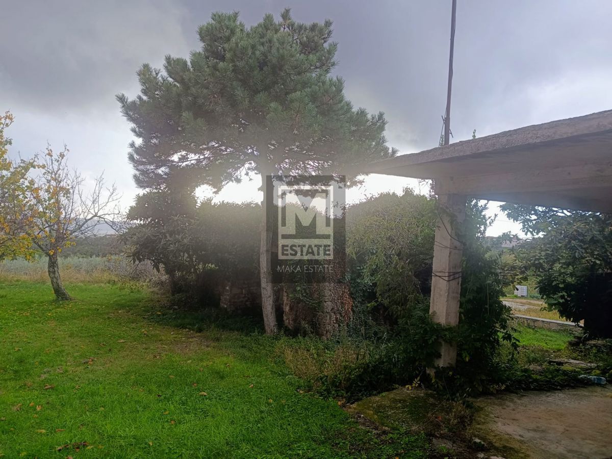 BUJE