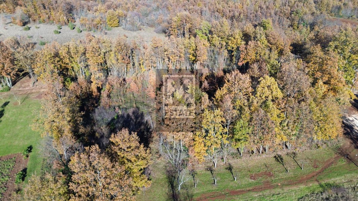 ŽMINJ