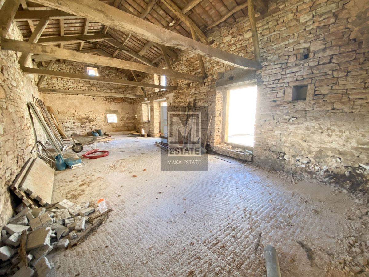 ŽMINJ