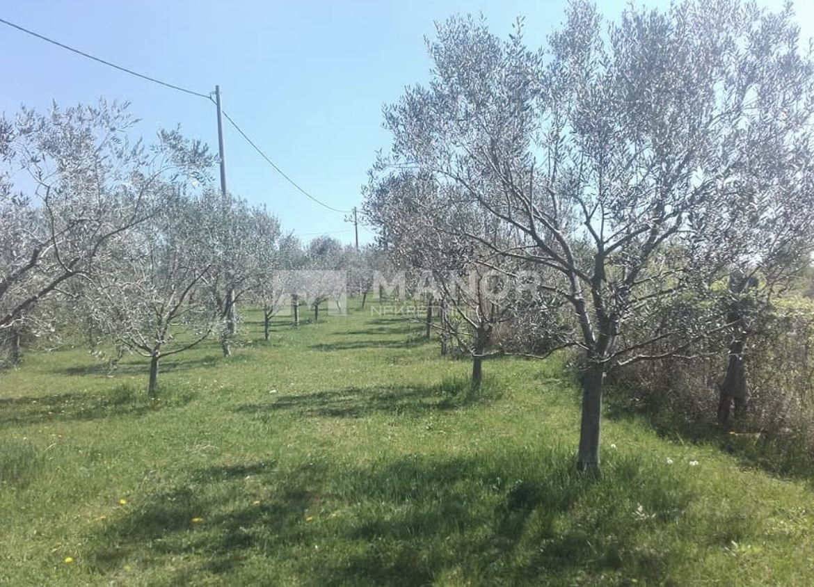 Terreno OPRTALJ, 74.000 €