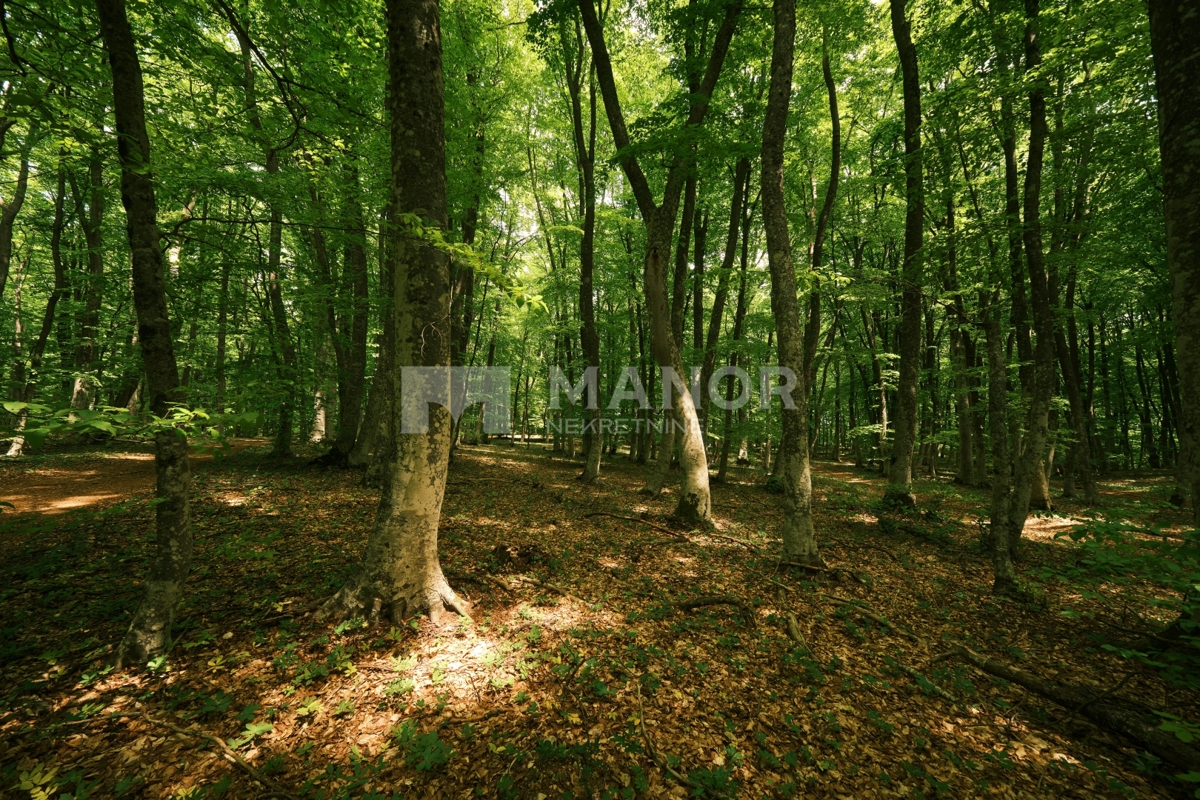 Terreno LABIN, 154.000 €