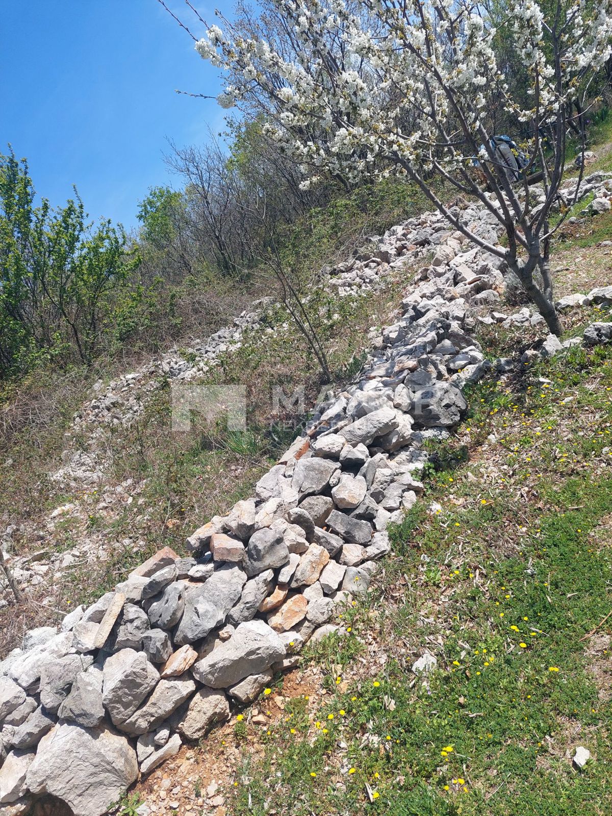 ROŽMANIĆI