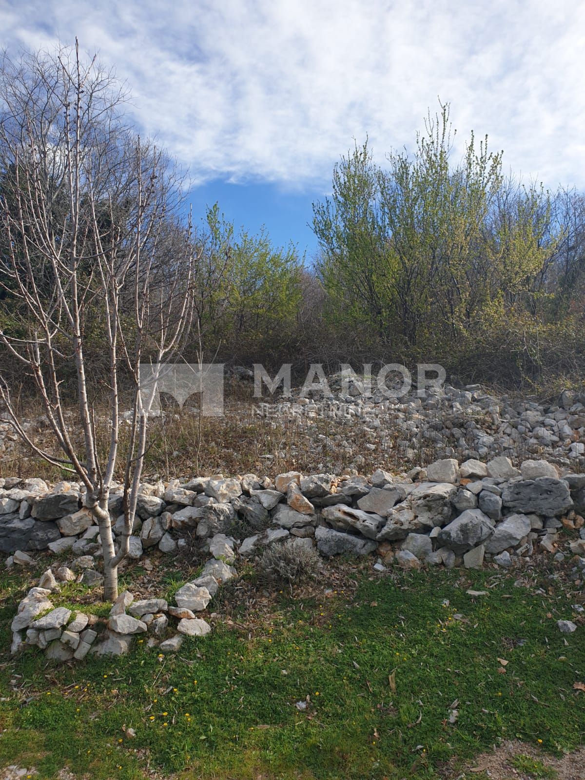 ROŽMANIĆI