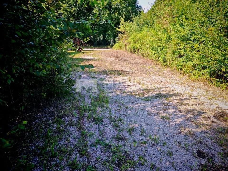 VELJAKI