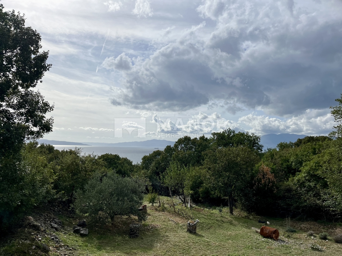 PLEŠIĆI