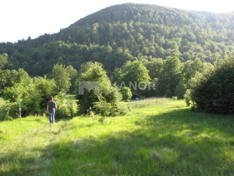 FUŽINE