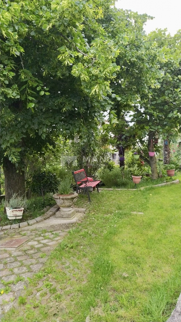 CERNIK