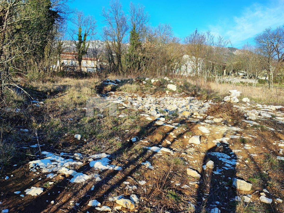 BUZET