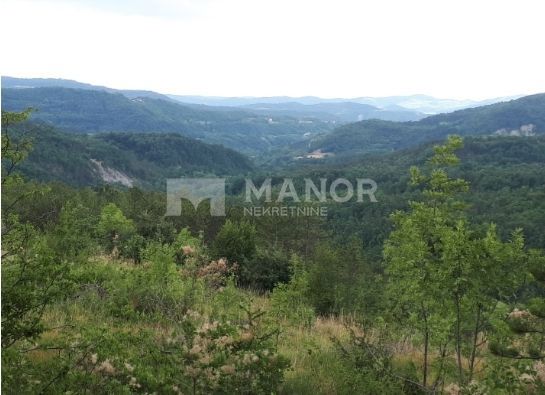 BUZET
