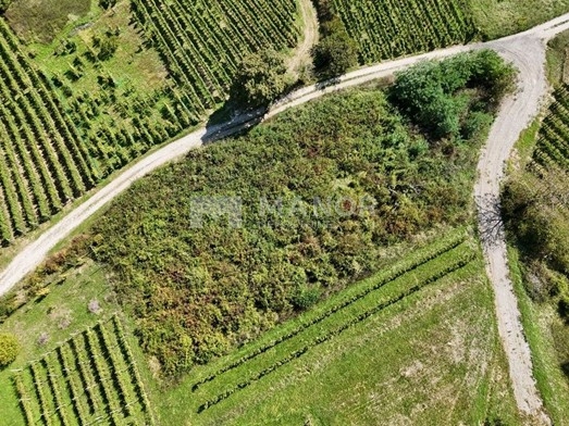VIVODINA