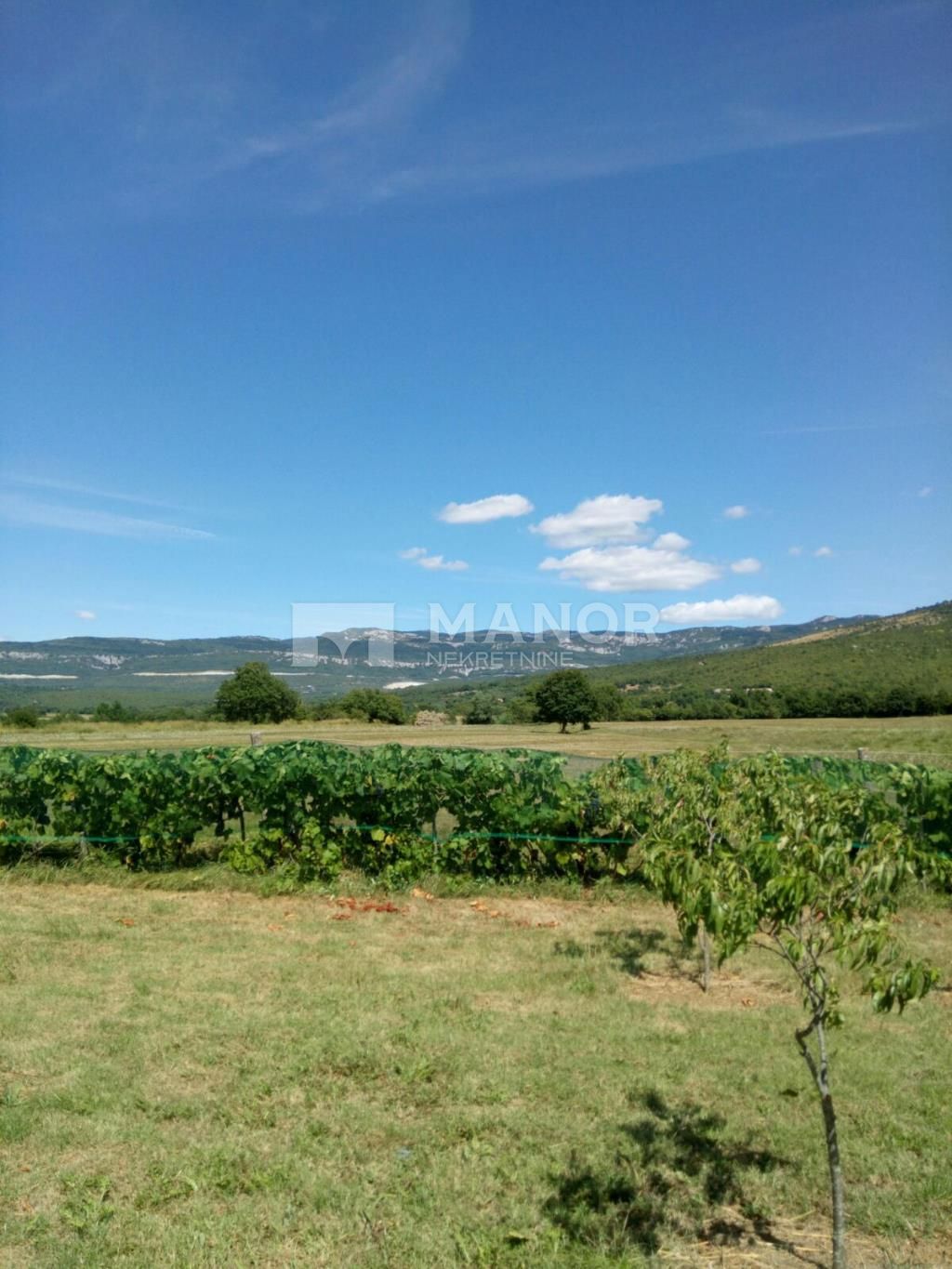 BOLJUNSKO POLJE