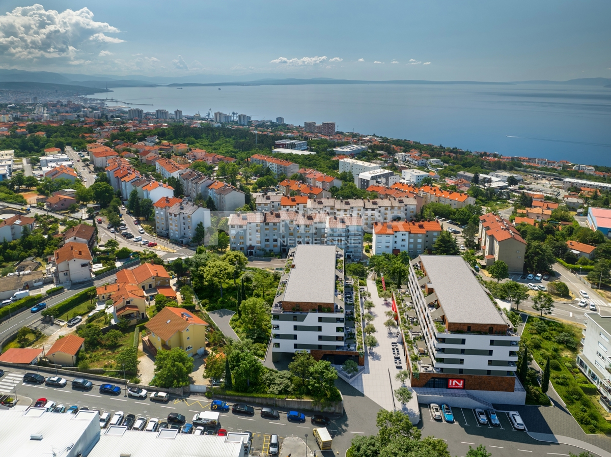 SRDOČI