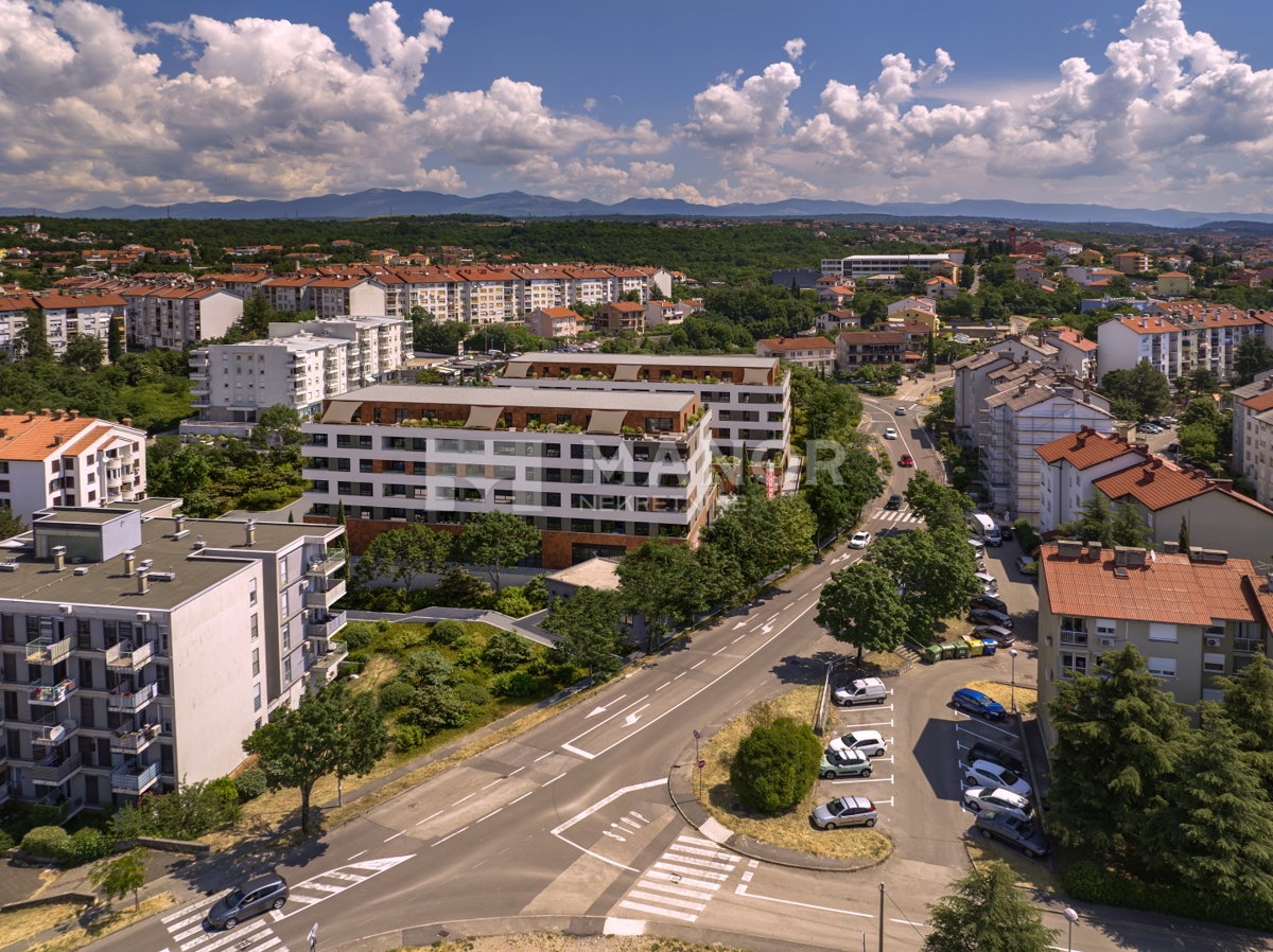 SRDOČI
