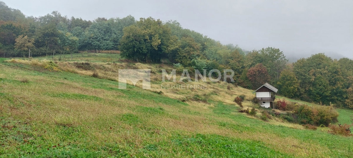 VIVODINA