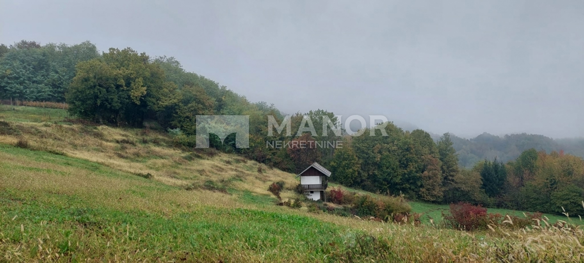 VIVODINA