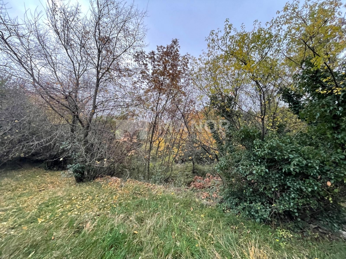 RUBEŠI