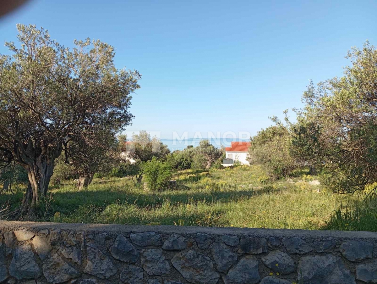 PAG