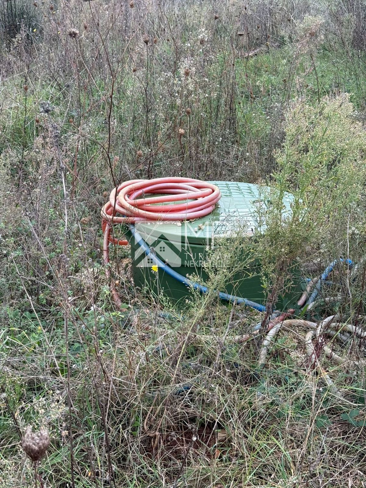 LIŽNJAN
