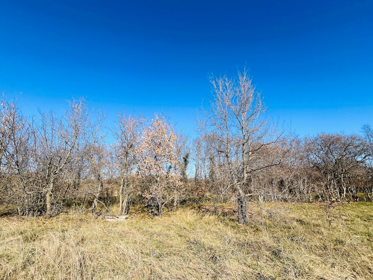 MARČANA
