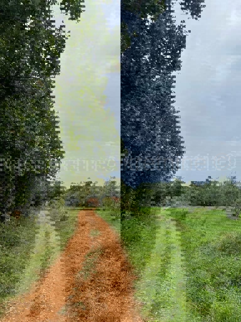 MARČANA