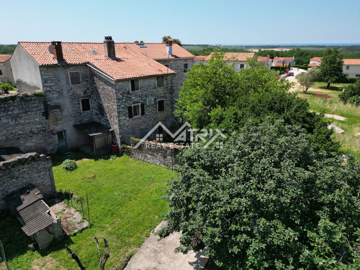 NOVIGRAD