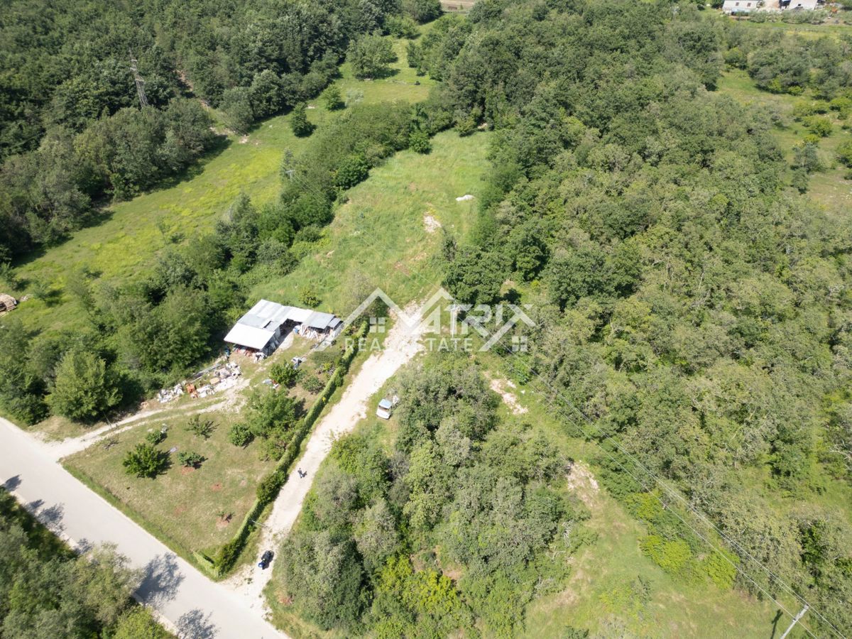 BRTONIGLA