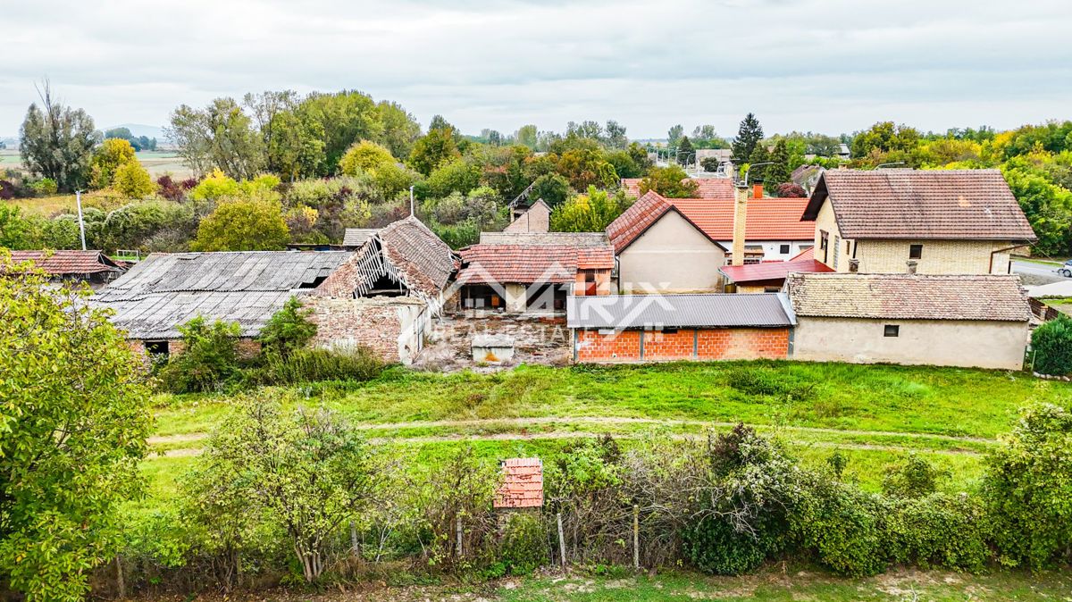image 26
