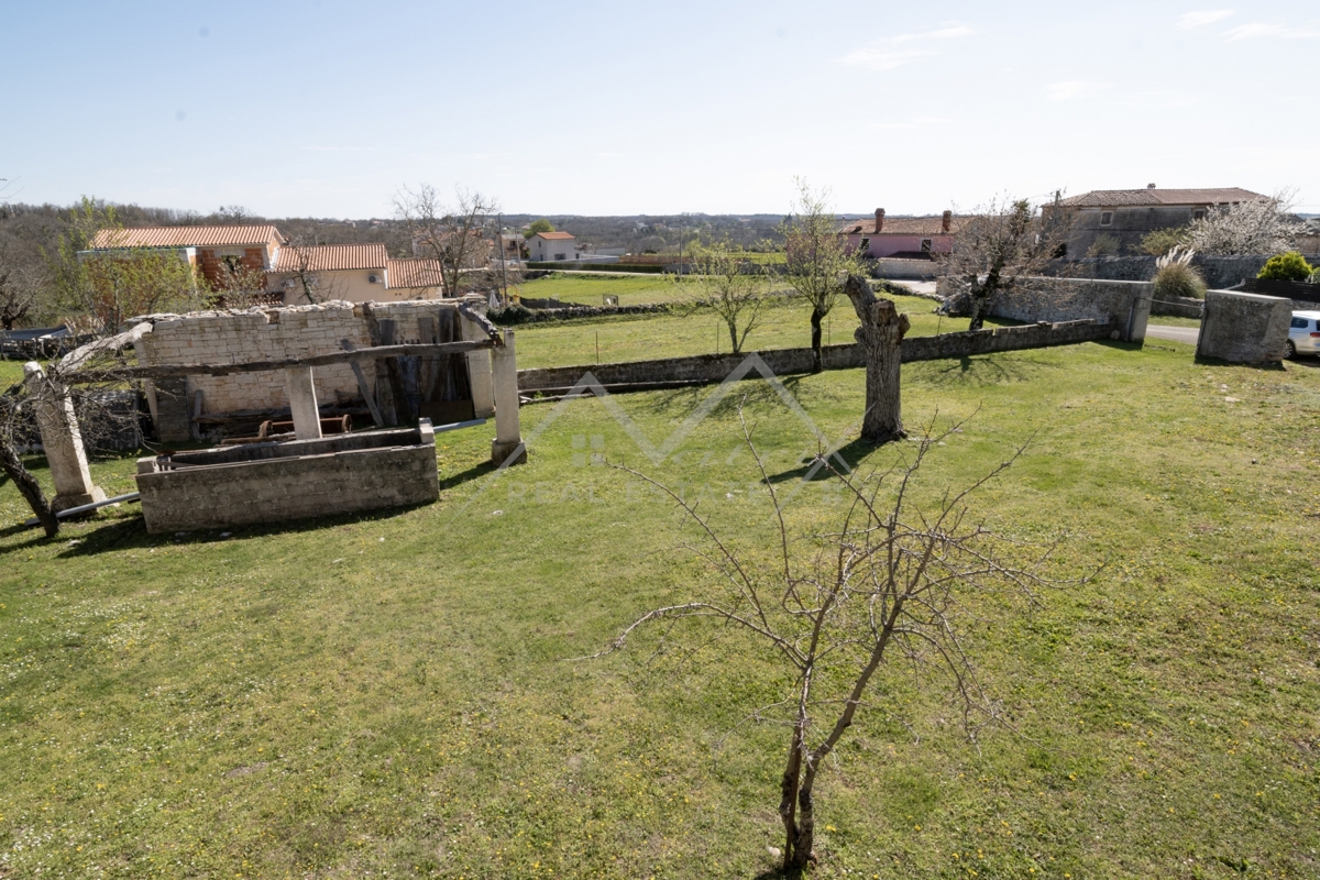 image 14
